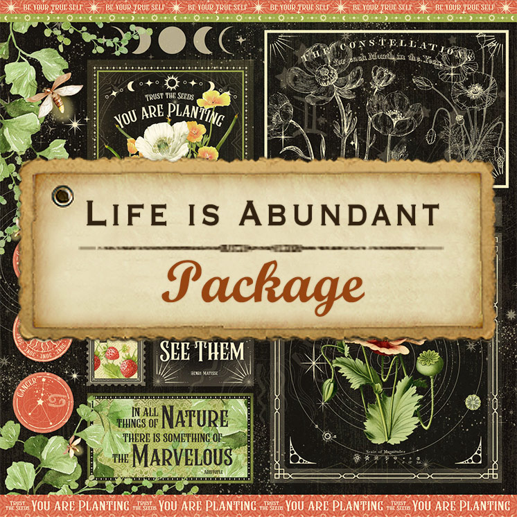 Paper Wishes  Life is Abundant by Graphic 45 Money Saver